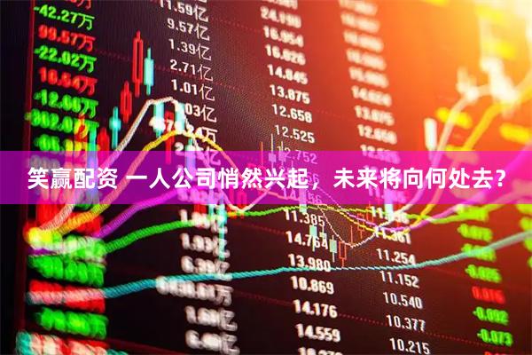 笑赢配资 一人公司悄然兴起，未来将向何处去？